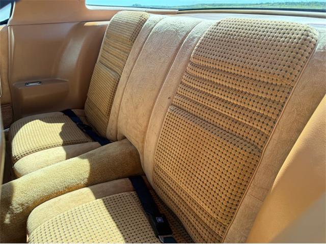 1979 Pontiac Firebird Trans Am SE (CC-2106910) for sale in Lincoln, Nebraska