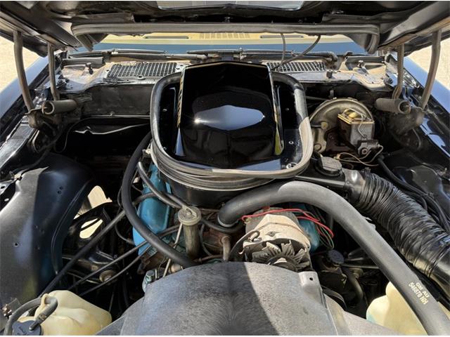 1979 Pontiac Firebird Trans Am SE (CC-2106910) for sale in Lincoln, Nebraska