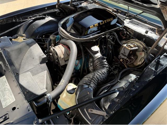 1979 Pontiac Firebird Trans Am SE (CC-2106910) for sale in Lincoln, Nebraska