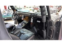 1973 Ford Bronco (CC-2106927) for sale in Spring Branch, Texas