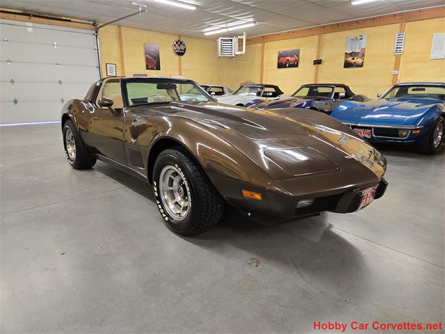 1979 Chevrolet Corvette (CC-2100693) for sale in MARTINSBURG, Pennsylvania