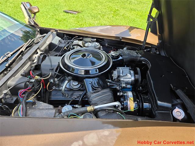 1979 Chevrolet Corvette (CC-2100693) for sale in MARTINSBURG, Pennsylvania
