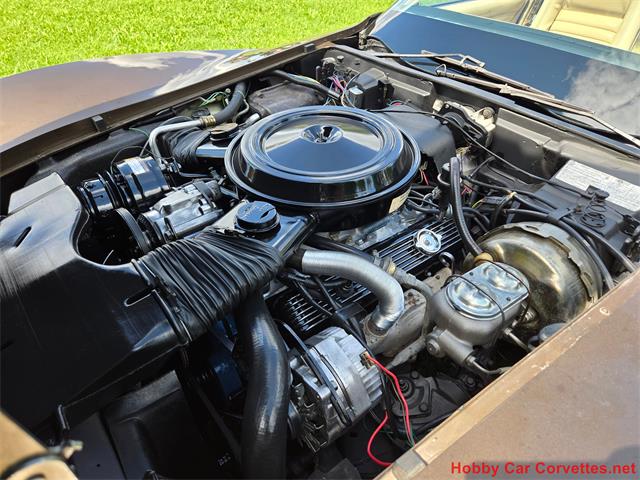 1979 Chevrolet Corvette (CC-2100693) for sale in MARTINSBURG, Pennsylvania