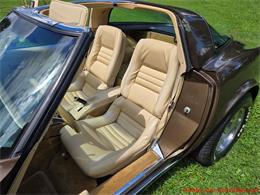 1979 Chevrolet Corvette (CC-2100693) for sale in MARTINSBURG, Pennsylvania