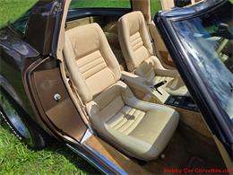 1979 Chevrolet Corvette (CC-2100693) for sale in MARTINSBURG, Pennsylvania