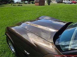 1979 Chevrolet Corvette (CC-2100693) for sale in MARTINSBURG, Pennsylvania