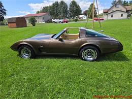 1979 Chevrolet Corvette (CC-2100693) for sale in MARTINSBURG, Pennsylvania