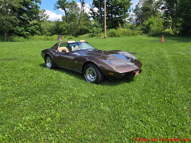 1979 Chevrolet Corvette (CC-2100693) for sale in MARTINSBURG, Pennsylvania