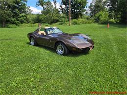 1979 Chevrolet Corvette (CC-2100693) for sale in MARTINSBURG, Pennsylvania