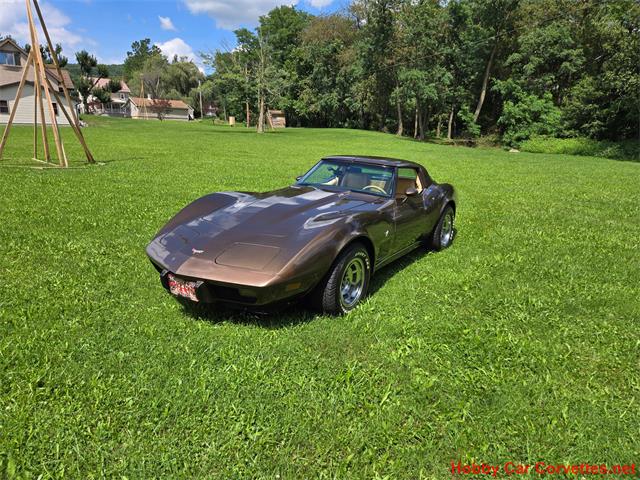 1979 Chevrolet Corvette (CC-2100693) for sale in MARTINSBURG, Pennsylvania