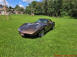 1979 Chevrolet Corvette (CC-2100693) for sale in MARTINSBURG, Pennsylvania