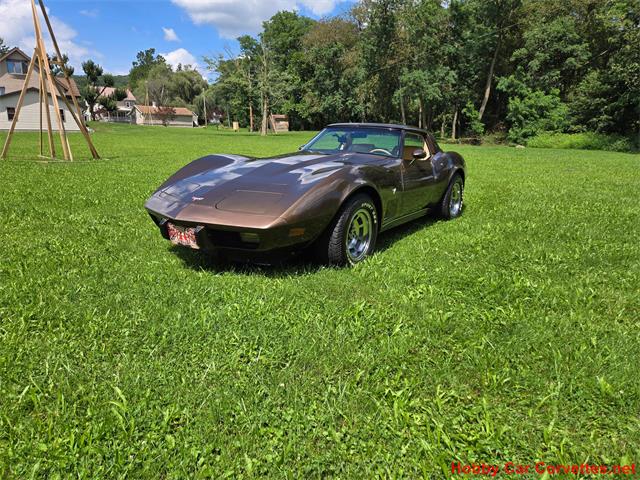 1979 Chevrolet Corvette (CC-2100693) for sale in MARTINSBURG, Pennsylvania