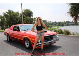 1976 Plymouth Road Runner (CC-2106948) for sale in Fort Myers, Florida