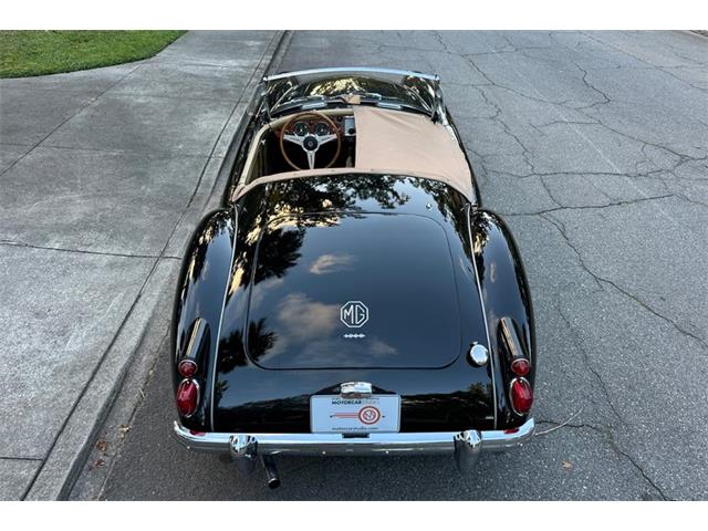 1959 MG MGA (CC-2106967) for sale in Savannah, Georgia