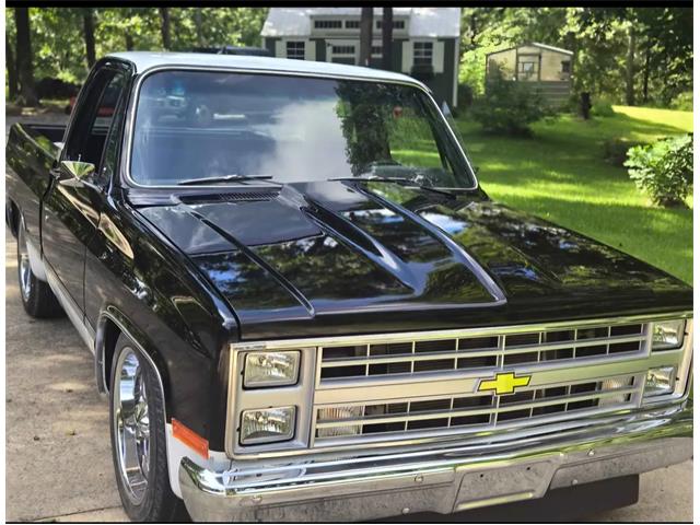 1984 Chevrolet 1500 (CC-2106976) for sale in Ashville, Alabama