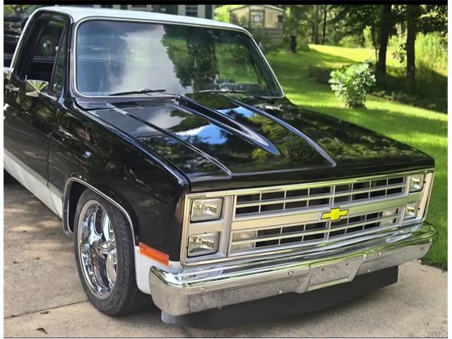 1984 Chevrolet 1500 (CC-2106976) for sale in Ashville, Alabama