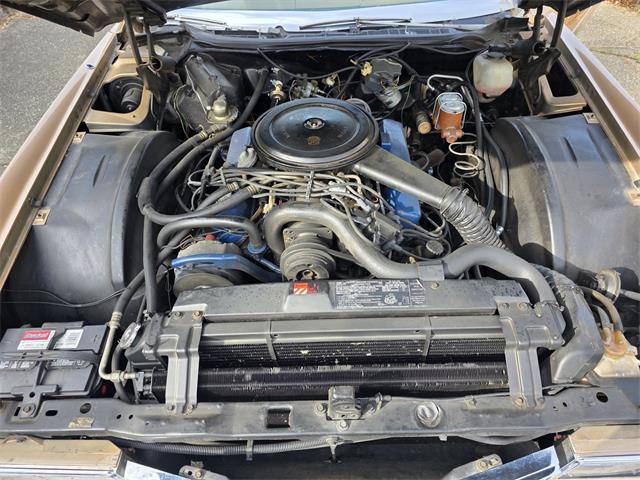 1976 Cadillac Eldorado (CC-2106990) for sale in Port Orchard, Washington