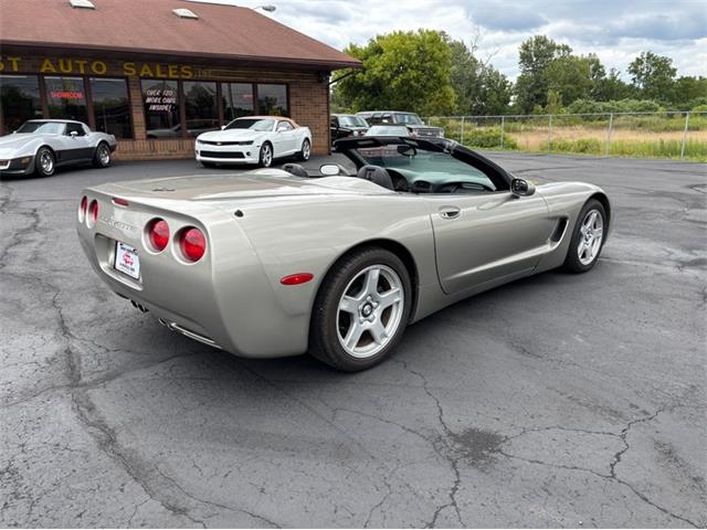 1998 Chevrolet Corvette (CC-2100070) for sale in North Canton, Ohio