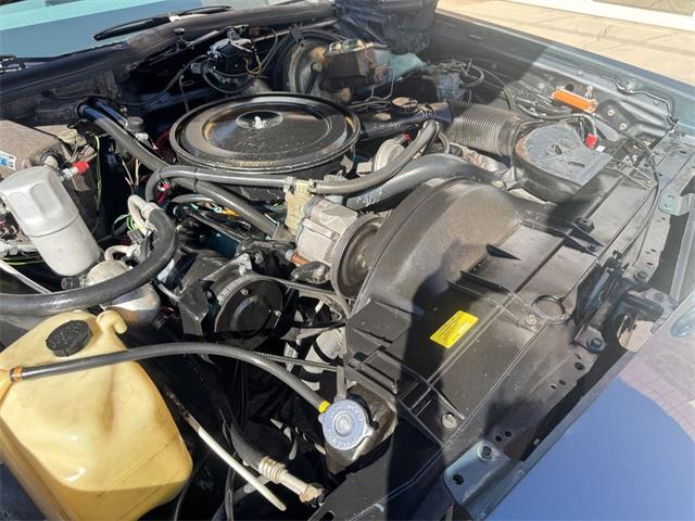 1978 Buick Electra (CC-2107088) for sale in Henderson, Nevada