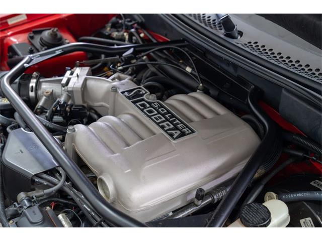 1995 Ford Mustang SVT Cobra (CC-2107117) for sale in Concord, North Carolina