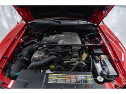 1995 Ford Mustang SVT Cobra (CC-2107117) for sale in Concord, North Carolina
