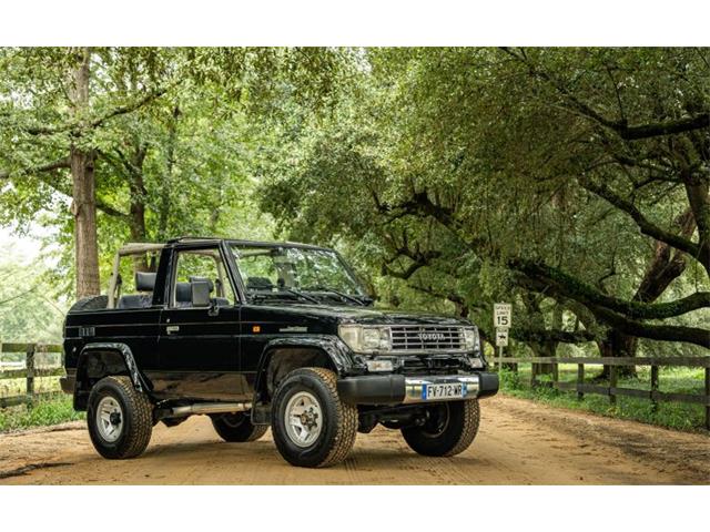 1994 Toyota Land Cruiser (CC-2107187) for sale in Aiken, South Carolina