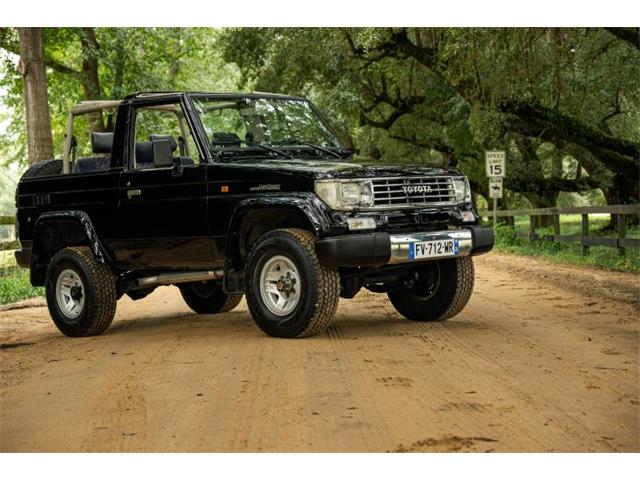 1994 Toyota Land Cruiser (CC-2107187) for sale in Aiken, South Carolina
