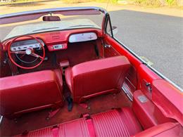 1964 Chevrolet Convertible (CC-2107244) for sale in Annandale, Minnesota