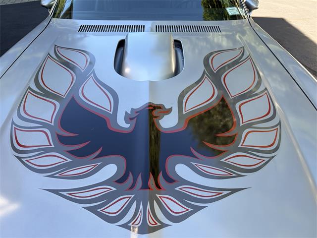 1976 Pontiac Firebird Trans Am (CC-2107307) for sale in BEDFORD, New Hampshire