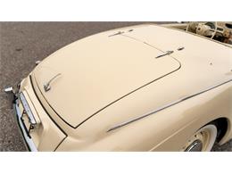 1954 Sunbeam Alpine (CC-2107330) for sale in Newport, Rhode Island