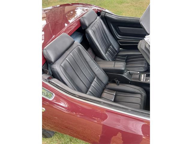 1969 Chevrolet Corvette (CC-2107345) for sale in East China, Michigan