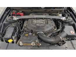 2014 Ford Mustang (CC-2107367) for sale in Mankato, Minnesota