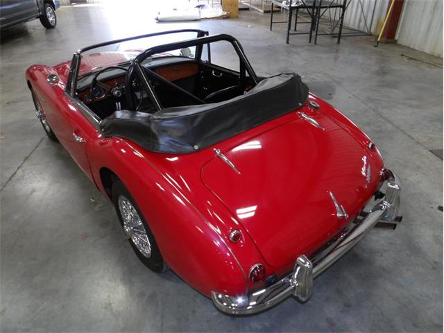 1965 Austin-Healey 3000 (CC-2107374) for sale in Palmetto, Florida