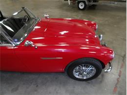 1965 Austin-Healey 3000 (CC-2107374) for sale in Palmetto, Florida