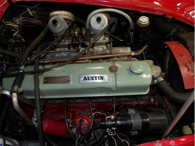 1965 Austin-Healey 3000 (CC-2107374) for sale in Palmetto, Florida