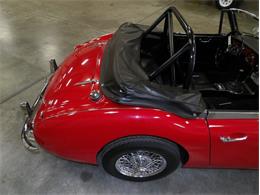 1965 Austin-Healey 3000 (CC-2107374) for sale in Palmetto, Florida