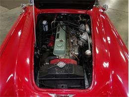 1965 Austin-Healey 3000 (CC-2107374) for sale in Palmetto, Florida