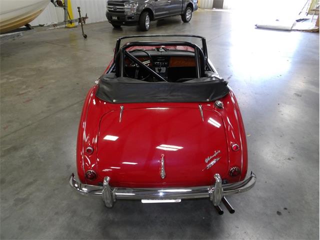 1965 Austin-Healey 3000 (CC-2107374) for sale in Palmetto, Florida