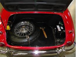 1965 Austin-Healey 3000 (CC-2107374) for sale in Palmetto, Florida