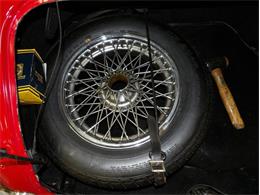 1965 Austin-Healey 3000 (CC-2107374) for sale in Palmetto, Florida