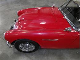 1965 Austin-Healey 3000 (CC-2107374) for sale in Palmetto, Florida