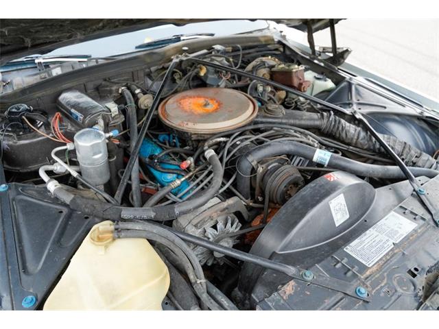 1979 Cadillac Fleetwood (CC-2107394) for sale in Ramsey, Minnesota