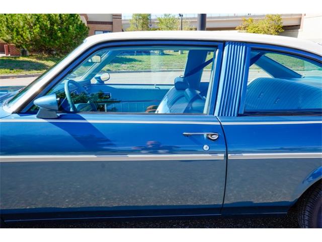 1977 Buick Skylark (CC-2107395) for sale in Ramsey, Minnesota
