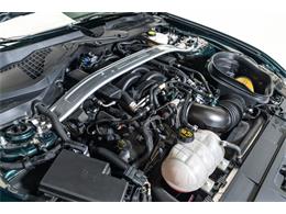 2019 Ford Mustang Bullitt (CC-2107412) for sale in Fort Lauderdale, Florida