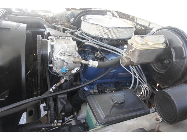 1978 Ford F150 (CC-2107434) for sale in Lantana, Florida