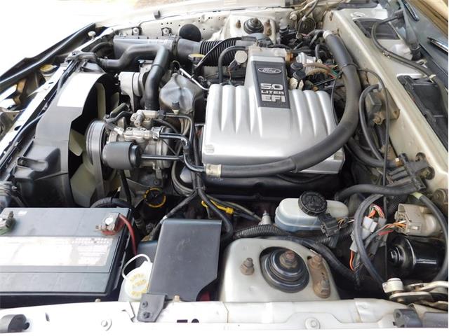 1988 Ford Thunderbird (CC-2107447) for sale in Fenton, Missouri
