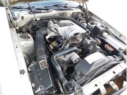 1988 Ford Thunderbird (CC-2107447) for sale in Fenton, Missouri