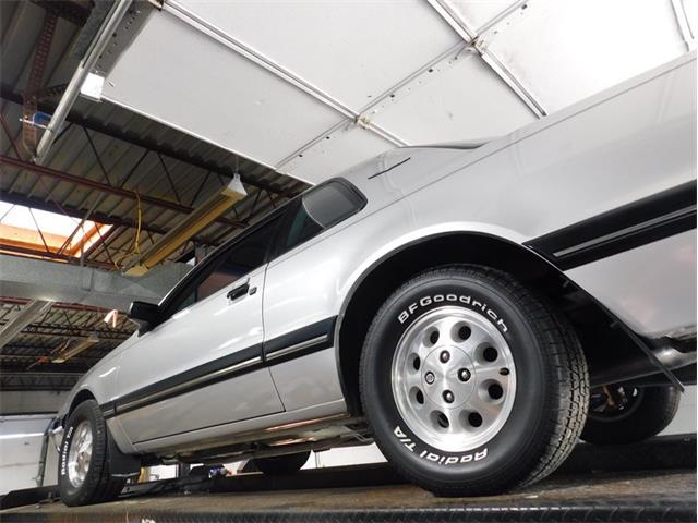 1988 Ford Thunderbird (CC-2107447) for sale in Fenton, Missouri
