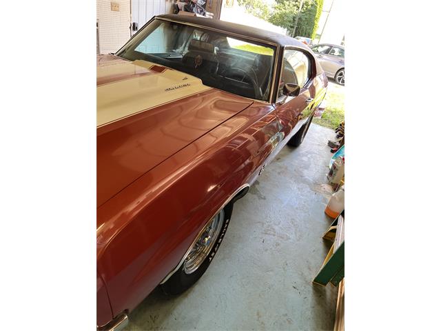 1970 Chevrolet Chevelle SS (CC-2107493) for sale in Manheim, Pennsylvania