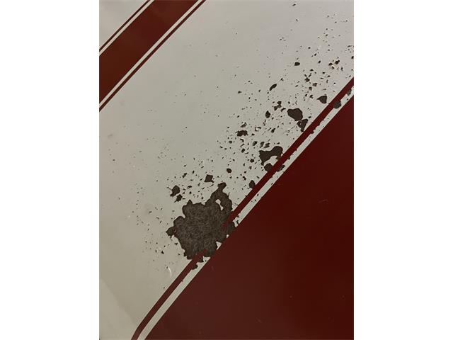 1970 Chevrolet Chevelle SS (CC-2107493) for sale in Manheim, Pennsylvania